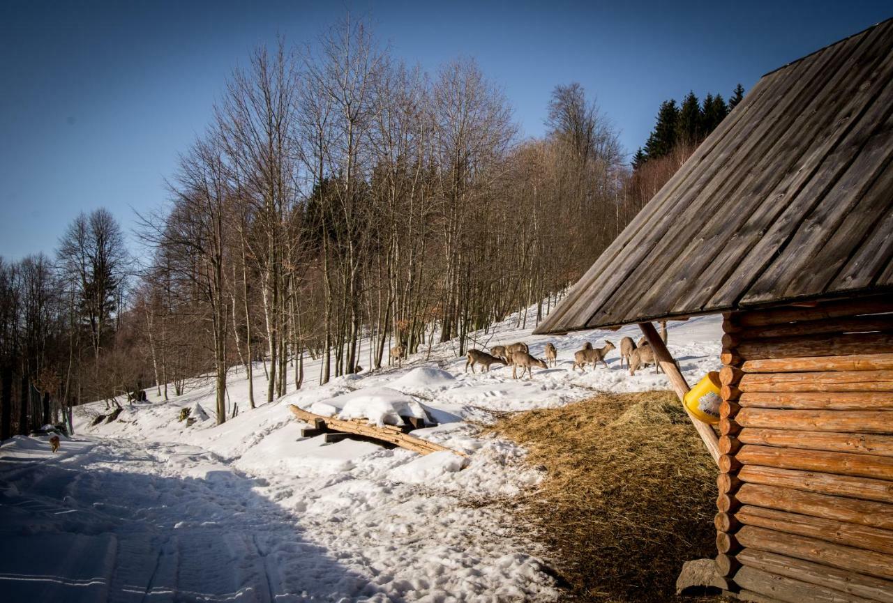 Apartamenty Romanowka Raszow エクステリア 写真
