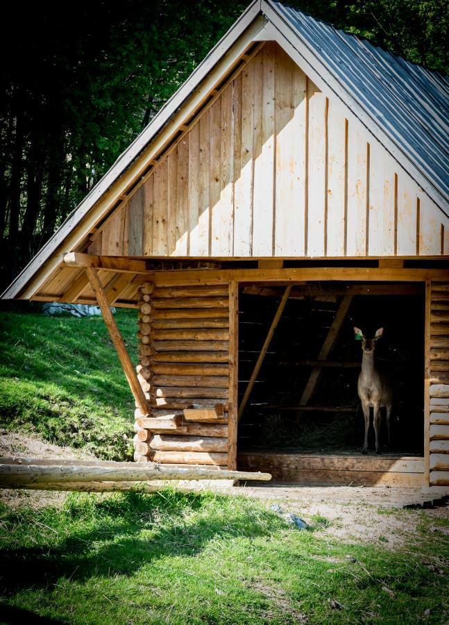 Apartamenty Romanowka Raszow エクステリア 写真